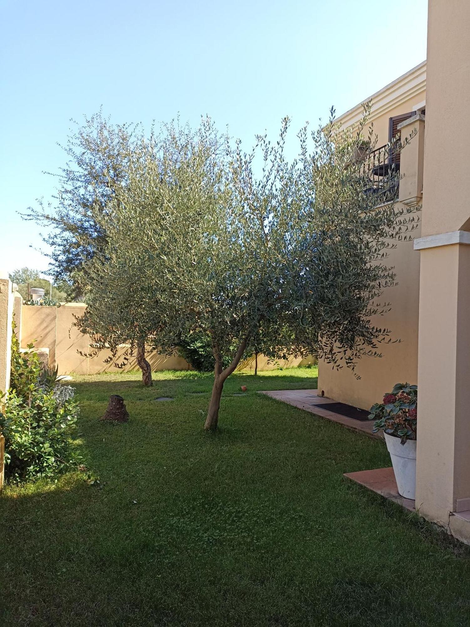 Appartamento La Rocca Tortoli Ngoại thất bức ảnh